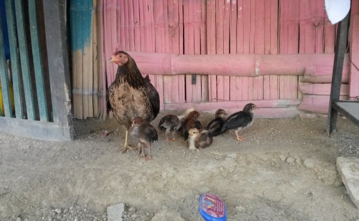 Chapter 3. A sort of&nbsp;homecoming